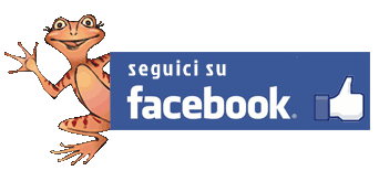 pagina_facebook.png