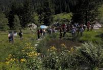 Il giardino botanico