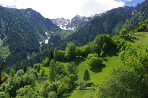 Prati e boschi nel SIC Val Madre