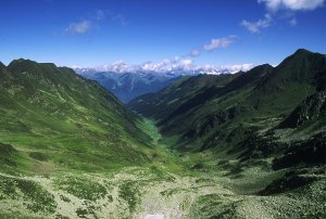 Panorama