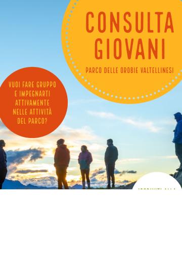 Consulta dei giovani