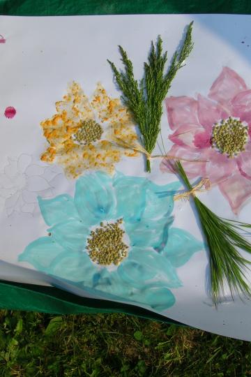 fiori di primavera