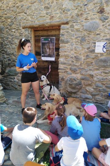 arianna e il lupo