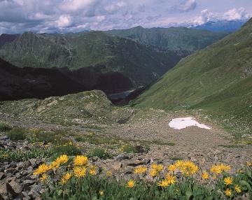 Val Caronno