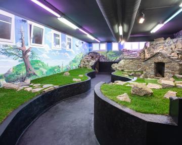 Galleria delle Emozioni nella natura