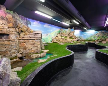 Galleria delle Emozioni nella natura