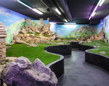 Galleria delle Emozioni nella natura