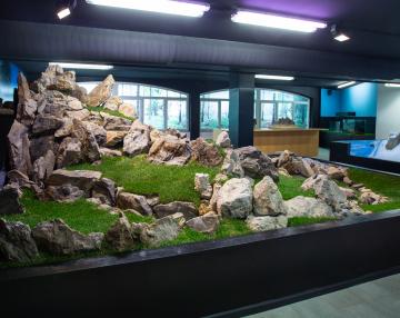 Galleria delle Emozioni nella natura