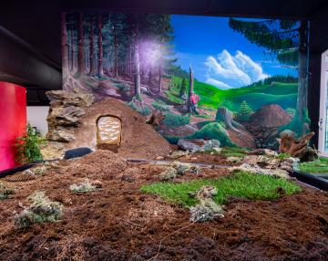 Galleria delle Emozioni nella natura