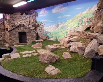 Galleria delle Emozioni nella natura