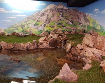 Galleria delle Emozioni nella natura