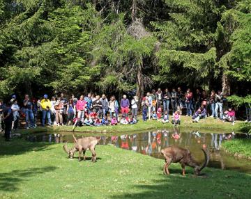 Osservatorio faunistico di Aprica