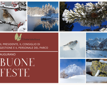 Chiusura uffici venerdì 27 dicembre