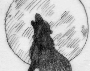 Il lupo fuori dalle favole