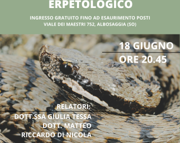 Rettili